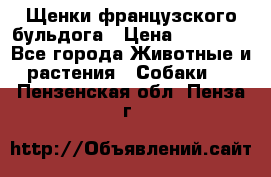 Щенки французского бульдога › Цена ­ 30 000 - Все города Животные и растения » Собаки   . Пензенская обл.,Пенза г.